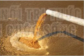 hinh-anh-bai-9-vai-tro-cua-vi-sinh-vat-trong-xu-li-o-nhiem-moi-truong-13230-2