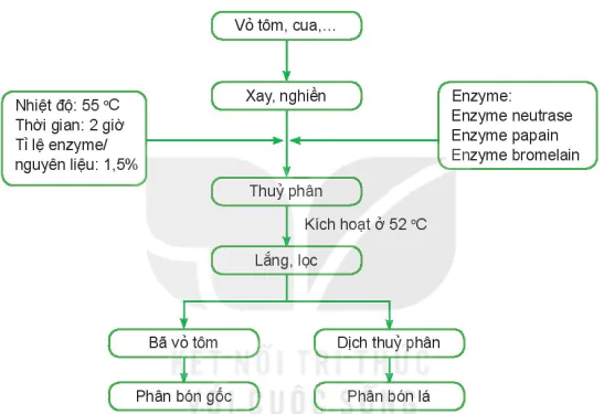 hinh-anh-bai-3-mot-so-ung-dung-cong-nghe-sinh-hoc-trong-san-xuat-phan-bon-13342-3