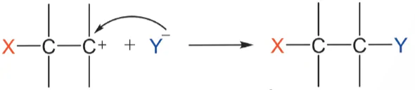 hinh-anh-bai-3-co-che-phan-ung-cong-13924-12
