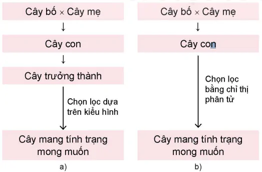 hinh-anh-bai-2-cong-nghe-sinh-hoc-trong-chon-tao-va-nhan-giong-cay-lam-nghiep-13980-2