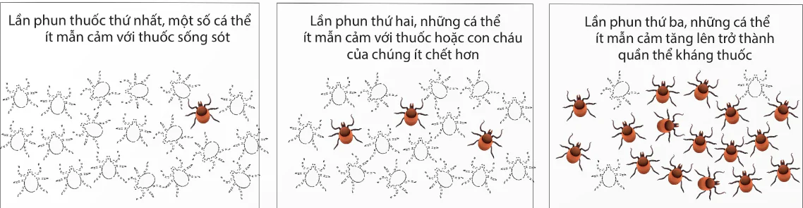 hinh-anh-bai-5-khai-niem-co-so-va-vai-tro-cua-kiem-soat-sinh-hoc-13940-2