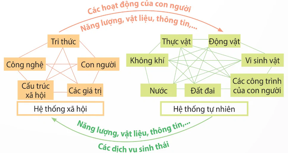 hinh-anh-bai-8-khai-niem-va-gia-tri-cua-sinh-thai-nhan-van-13944-1