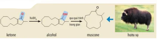 hinh-anh-bai-23-hop-chat-carbonyl-13666-18