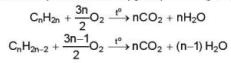 hinh-anh-bai-16-hydrocarbon-khong-no-13614-21