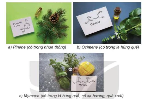 hinh-anh-bai-13-cau-tao-hoa-hoc-hop-chat-huu-co-13514-20