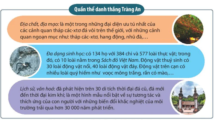 hinh-anh-iii-mot-so-di-san-van-hoa-tieu-bieu-o-viet-nam-13724-20