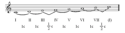 hinh-anh-bai-2-6234-3