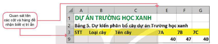 hinh-anh-bai-9-trinh-bay-bang-tinh-6105-5