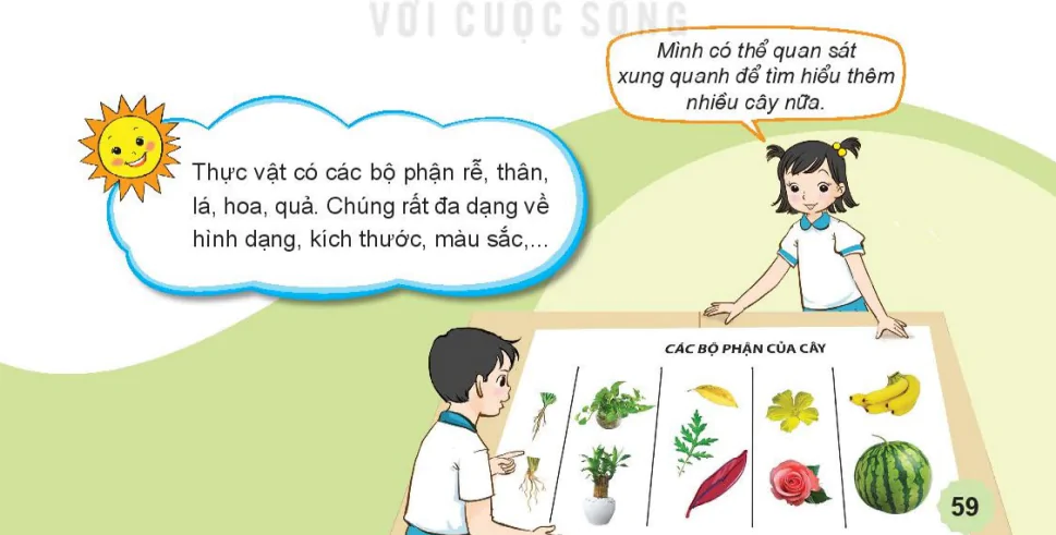 hinh-anh-bai-13-mot-so-bo-phan-cua-thuc-vat-7326-9