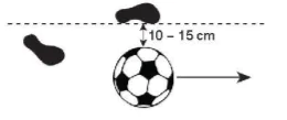 hinh-anh-chu-de-2-bong-da-7735-3