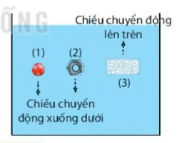 hinh-anh-bai-17-luc-day-archimedes-9095-3