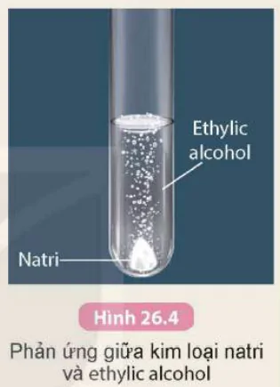 hinh-anh-bai-26-ethylic-alcohol-9294-3