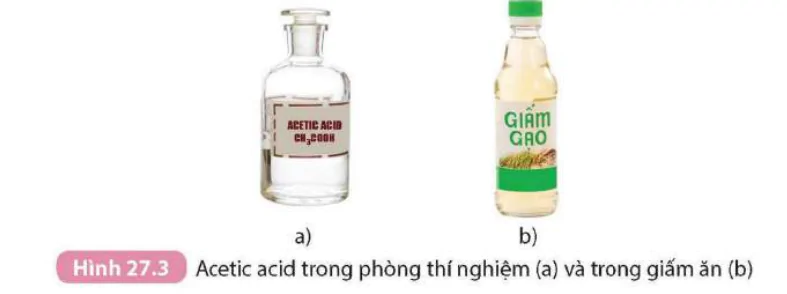 hinh-anh-bai-27-acetic-acid-9300-3