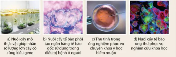 hinh-anh-bai-43-nguyen-phan-va-giam-phan-9502-18