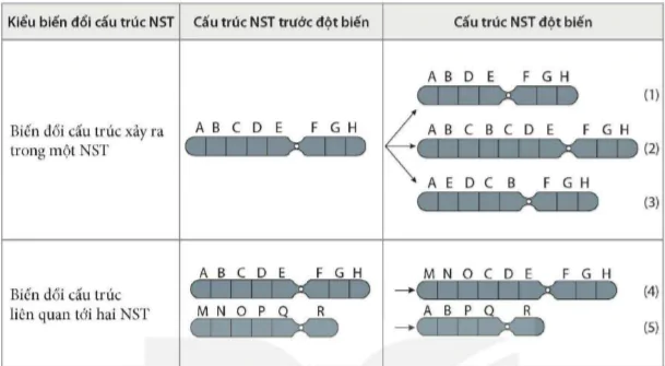 hinh-anh-bai-46-dot-bien-nhiem-sac-the-9549-3