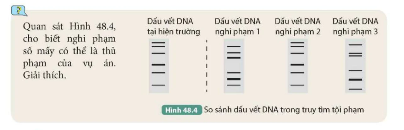 hinh-anh-bai-48-ung-dung-cong-nghe-di-truyen-vao-doi-song-9832-3