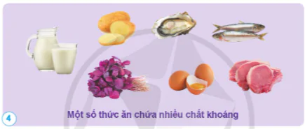 hinh-anh-bai-17-cac-chat-dinh-duong-can-thiet-cho-co-the-10866-3