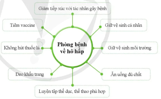 hinh-anh-bai-32-he-ho-hap-o-nguoi-10867-21