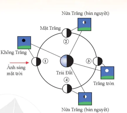 hinh-anh-bai-34-cac-hinh-dang-nhin-thay-cua-mat-trang-10990-3