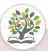 hinh-anh-doc-buoc-vao-doi-trich-nho-nghi-chieu-hom-12517-17