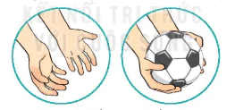 hinh-anh-bai-1-ki-thuat-bat-bong-lan-set-12719-3
