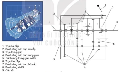 hinh-anh-bai-22-he-thong-truyen-luc-12765-3