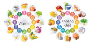 hinh-anh-chu-de-su-dung-cac-yeu-to-tu-nhien-va-dinh-duong-de-ren-luyen-suc-khoe-va-phat-trien-the-chat-12778-3