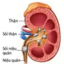 hinh-anh-bai-13-bai-tiet-va-can-bang-noi-moi-12828-5