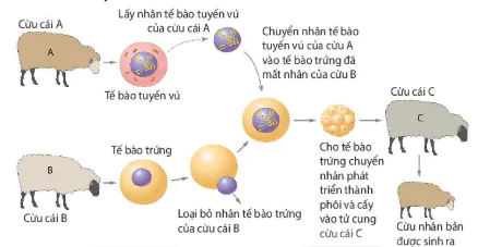 hinh-anh-bai-19-cong-nghe-te-bao-12860-1