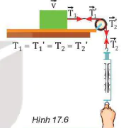 hinh-anh-bai-17-trong-luc-va-luc-cang-13438-13