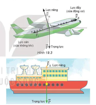 hinh-anh-bai-19-luc-can-va-luc-nang-13475-3