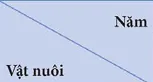 hinh-anh-bai-30-su-dung-hop-li-tu-nhien-de-phat-trien-kinh-te-o-dong-bang-song-cuu-long-13489-3