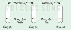 hinh-anh-bai-21-nhom-halogen-13532-67