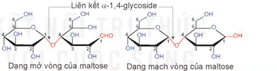 hinh-anh-bai-7-on-tap-chuong-2-13505-3