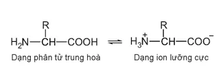 hinh-anh-bai-9-amino-acids-va-peptides-13508-1