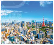 hinh-anh-ii-do-thi-hoa-o-cac-nuoc-phat-trien-13695-3