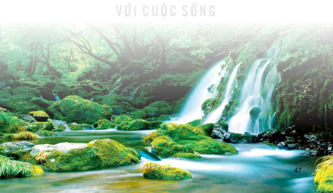 hinh-anh-bai-3-xac-dinh-tiet-dieu-dem-cho-ca-khuc-ban-nhac-nhip-34-13304-13