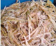hinh-anh-bai-9-vai-tro-cua-vi-sinh-vat-trong-xu-li-o-nhiem-moi-truong-13230-3