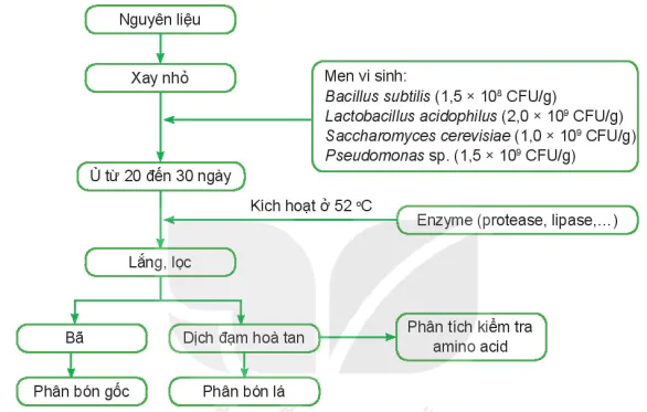 hinh-anh-bai-3-mot-so-ung-dung-cong-nghe-sinh-hoc-trong-san-xuat-phan-bon-13342-4