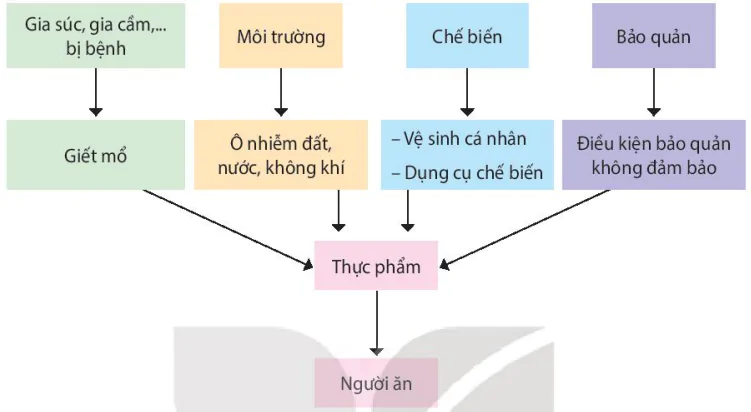 hinh-anh-bai-10-ngo-doc-thuc-pham-13589-3