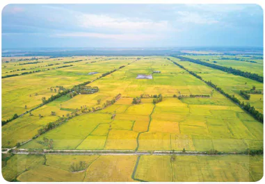 hinh-anh-iii-cac-loai-vung-kinh-te-o-viet-nam-13963-3