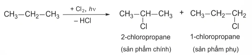 hinh-anh-bai-2-co-che-phan-ung-the-13923-13