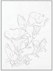hinh-anh-bai-1-trang-tri-va-nguyen-tac-tao-hinh-trong-trang-tri-13358-32