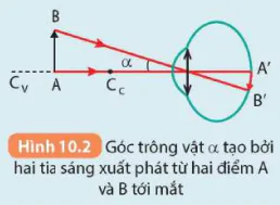 hinh-anh-bai-10-kinh-lup-bai-tap-thau-kinh-5714-3