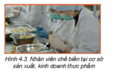 hinh-anh-bai-4-an-toan-lao-dong-va-an-toan-ve-sinh-thuc-pham-5723-4