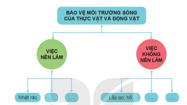 hinh-anh-bai-19-thuc-vat-va-dong-vat-quanh-em-7122-3