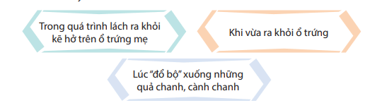 hinh-anh-on-tap-va-danh-gia-giua-hoc-ki-2-7140-2