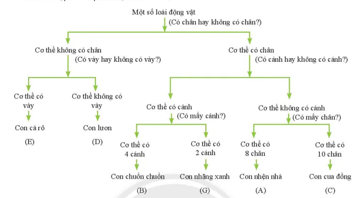 hinh-anh-bai-26-khoa-luong-phan-7932-2