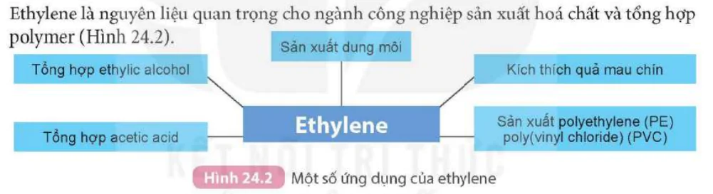 hinh-anh-bai-24-alkene-9281-10