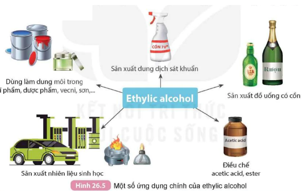 hinh-anh-bai-26-ethylic-alcohol-9294-6